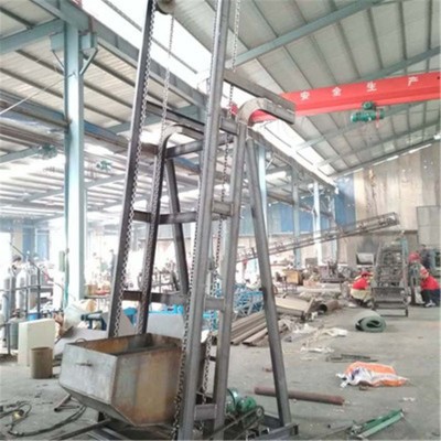 不銹鋼單斗式提升機(jī) 冷凍肉食翻斗上料機(jī) 自動(dòng)卸料提升機(jī)LJ3