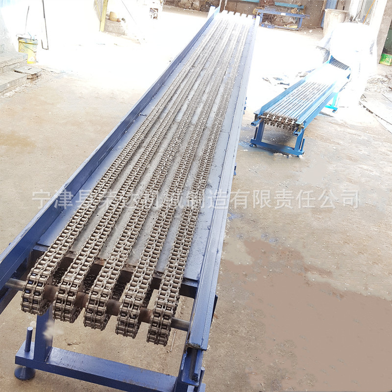 滾子鏈條輸送機6.jpg