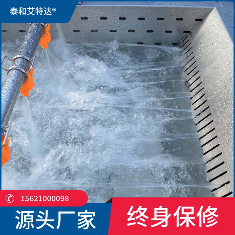 小龍蝦凈洗油炸成套設備 牡蠣海鮮去泥凈洗機 大型商用洗菜機